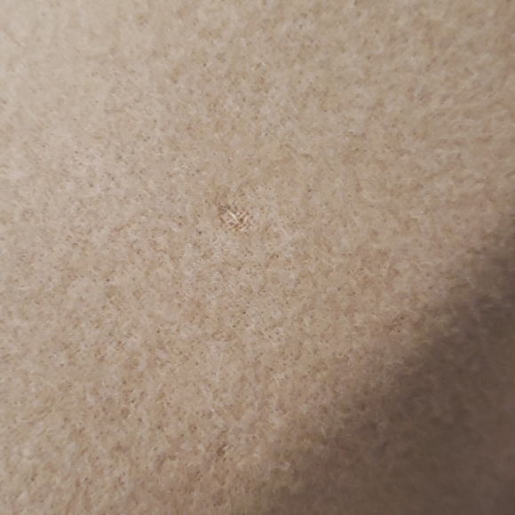 Blazor - Picture 7 of 7